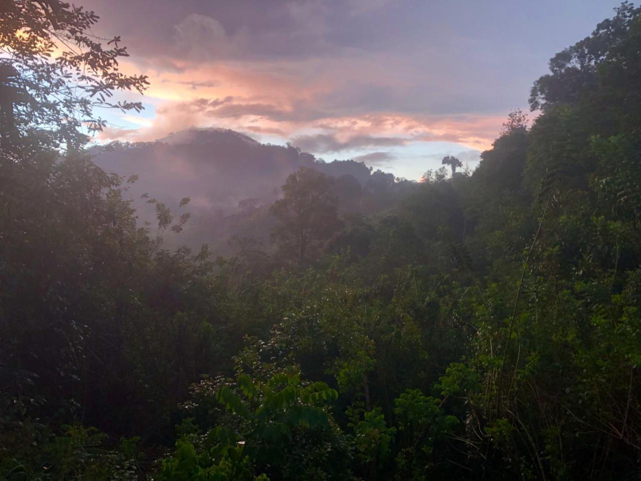 Natural Mystic Sanctuary デニヤヤ エクステリア 写真