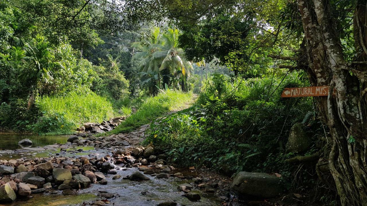 Natural Mystic Sanctuary デニヤヤ エクステリア 写真