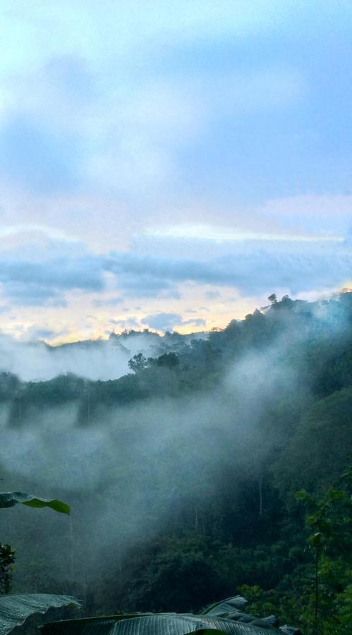 Natural Mystic Sanctuary デニヤヤ エクステリア 写真